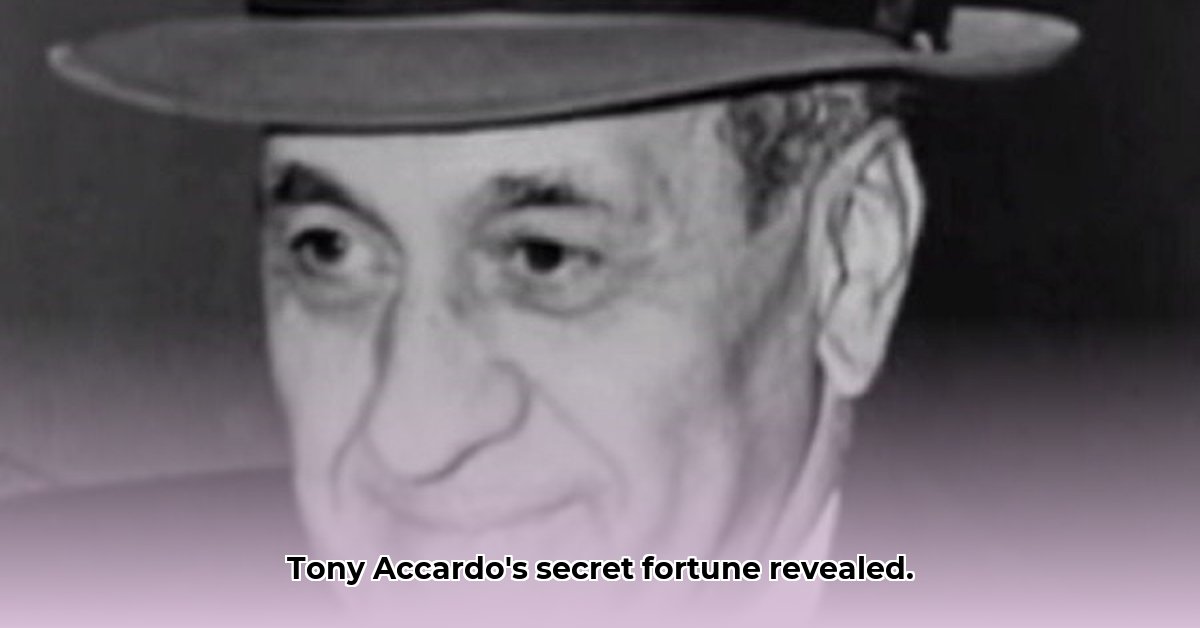 tony-accardo-net-worth